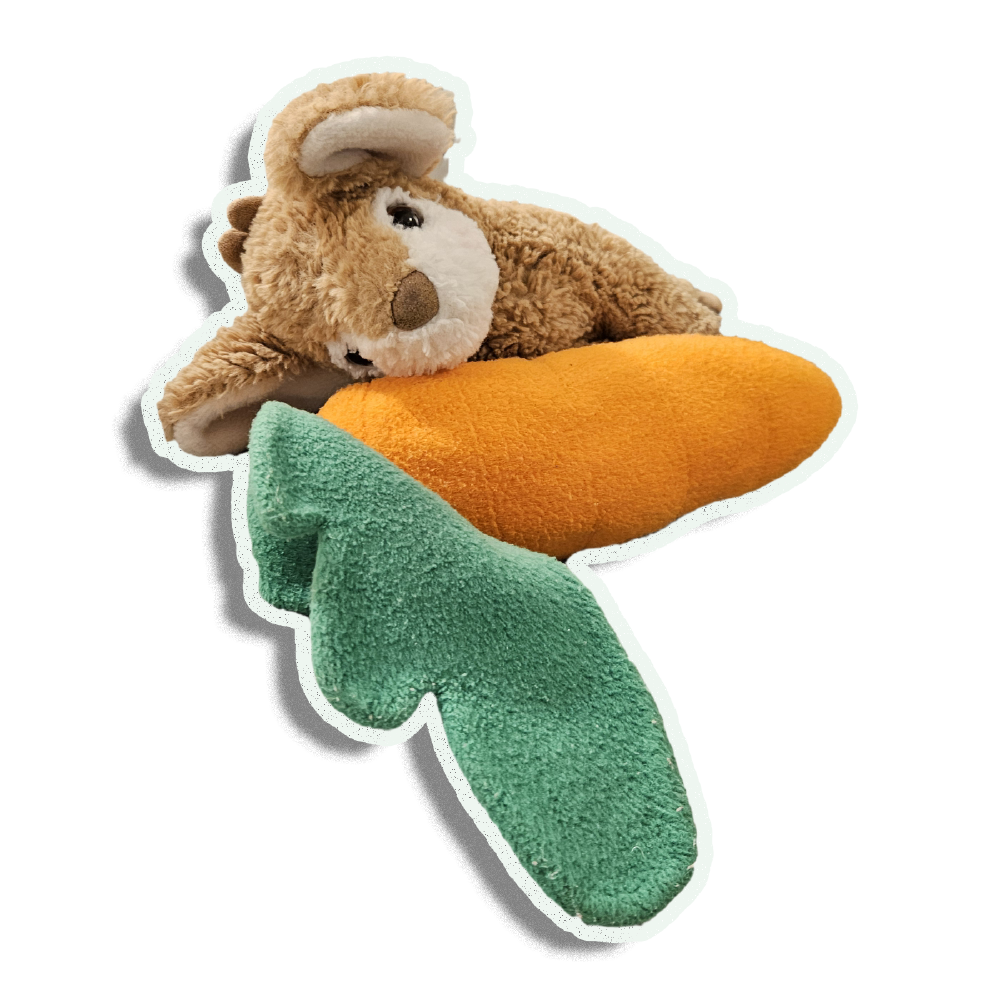 barley-carrot.png